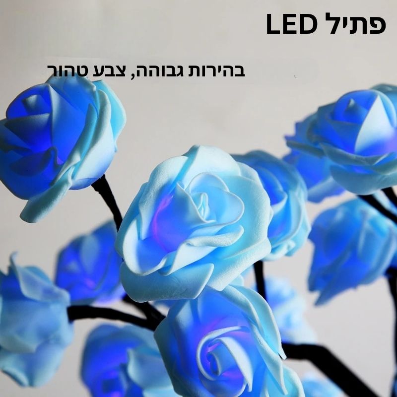 מנורת פרחי קסם - מבית ויריגו