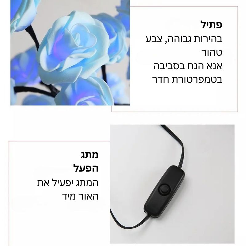 מנורת פרחי קסם - מבית ויריגו